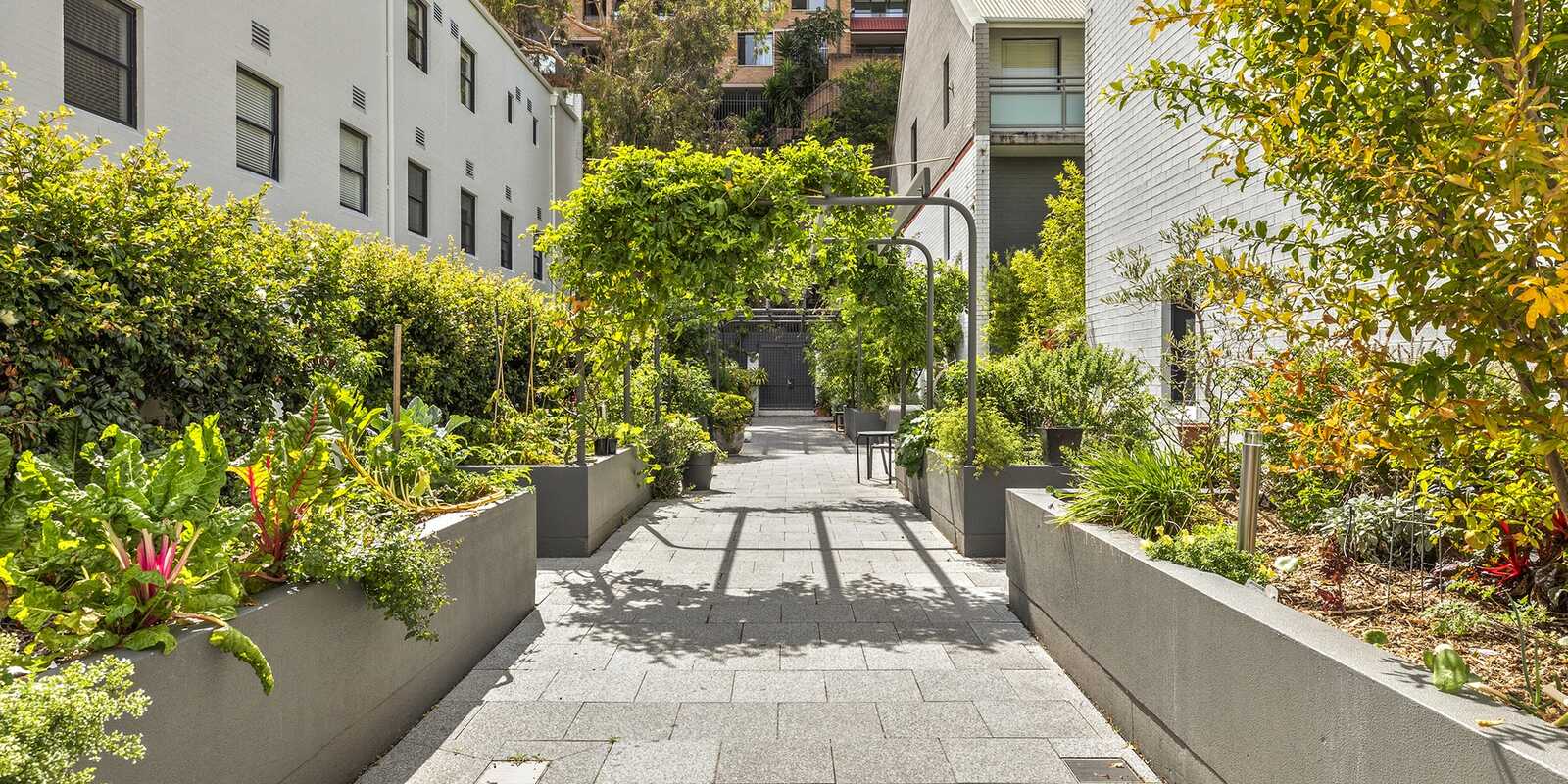 11/26-34 McElhone Street Woolloomooloo