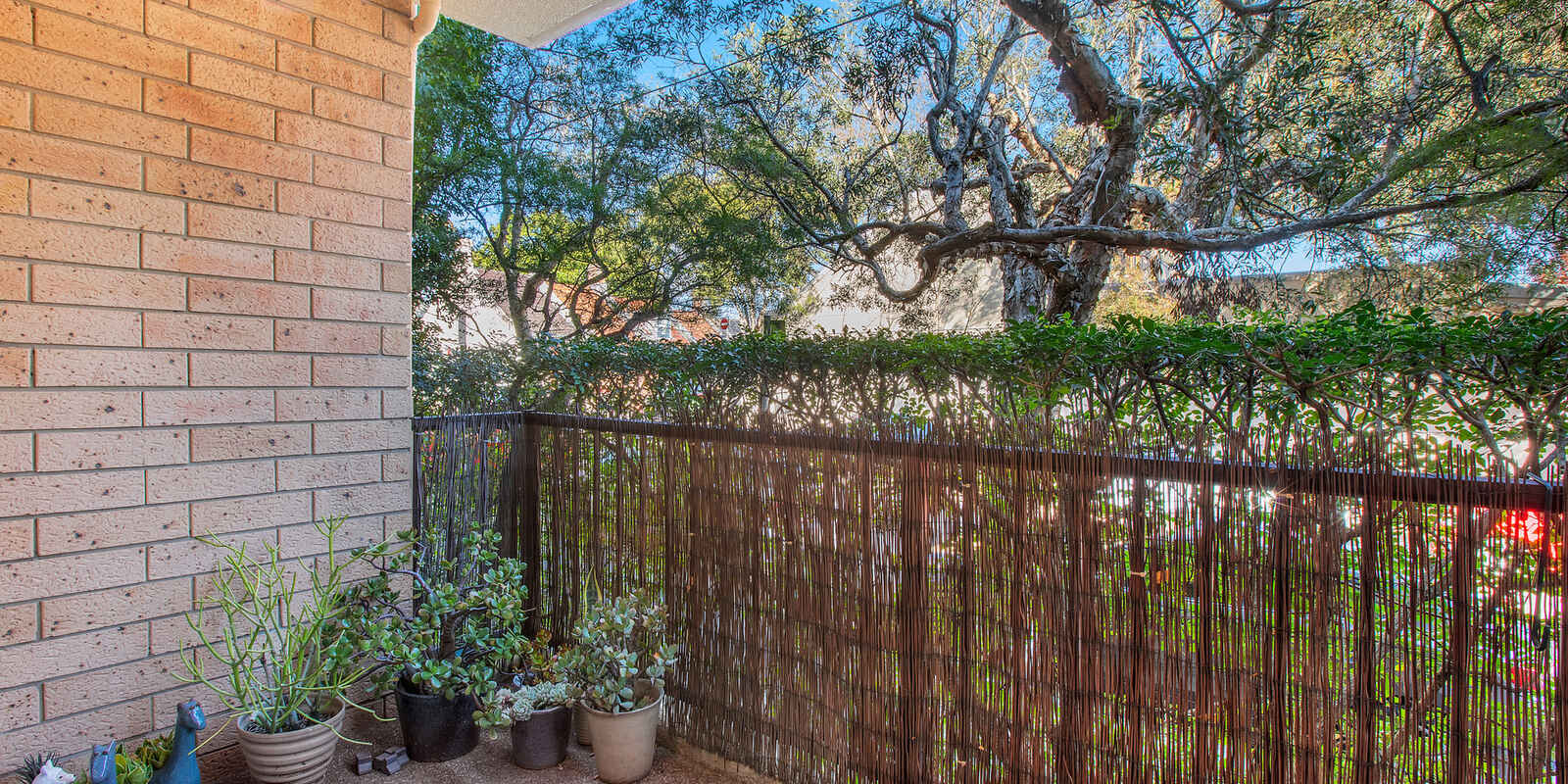 1/4 Goodlet Street Surry Hills