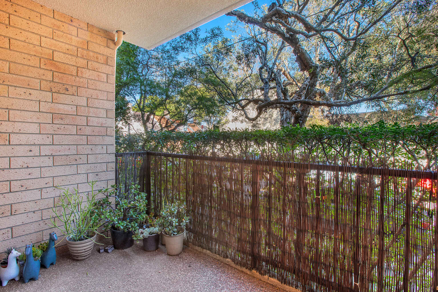 1/4 Goodlet Street Surry Hills