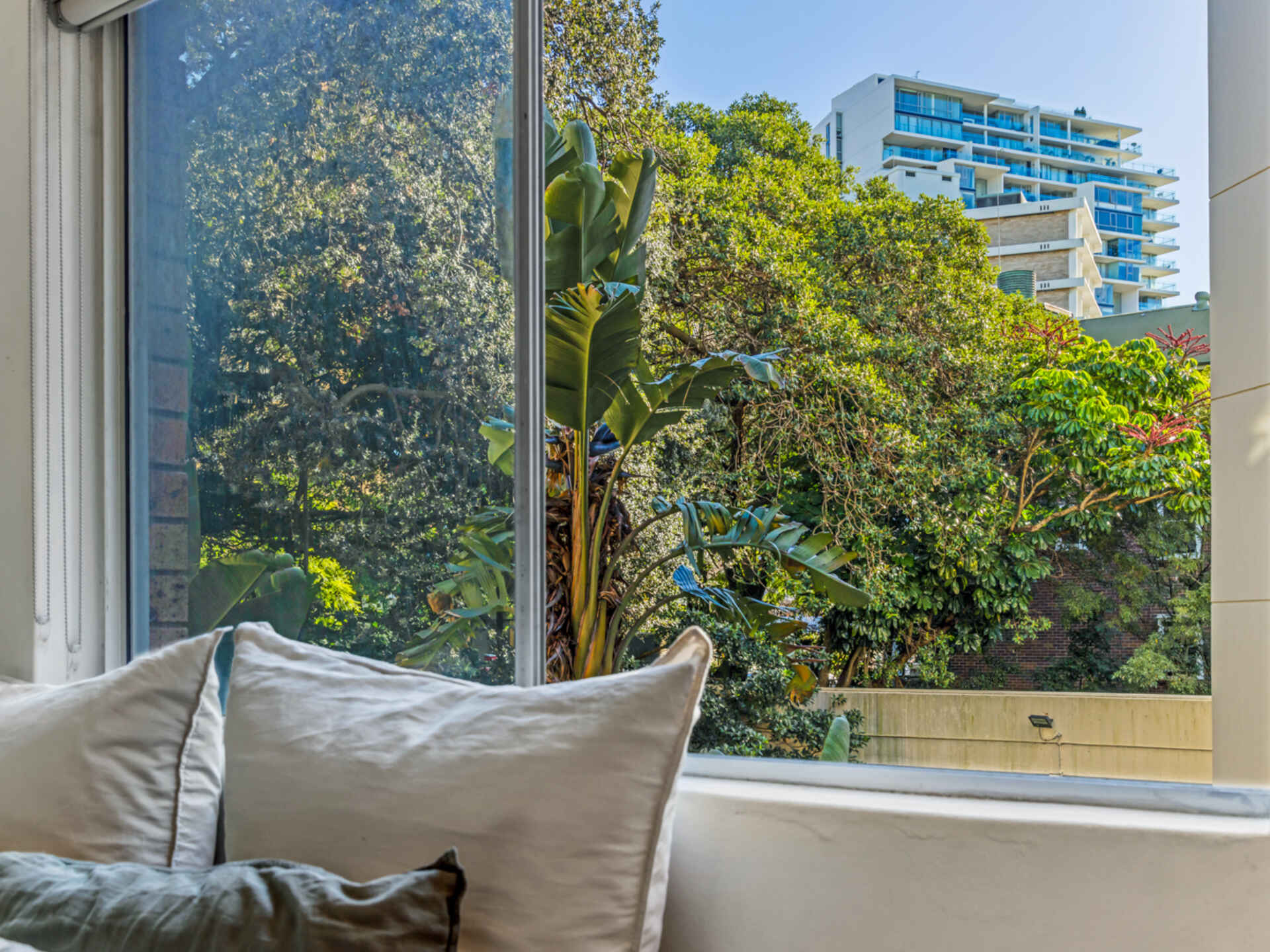 8/60 Roslyn Gardens Rushcutters Bay