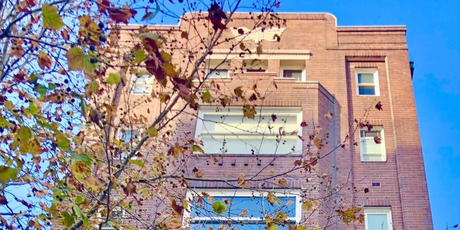 26/20-22 Springfield Avenue Potts Point