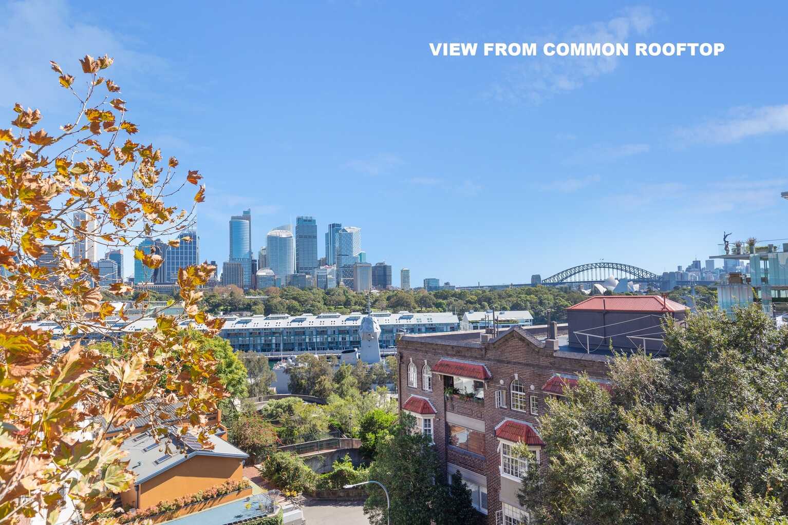 7/7 St Neot Avenue Potts Point