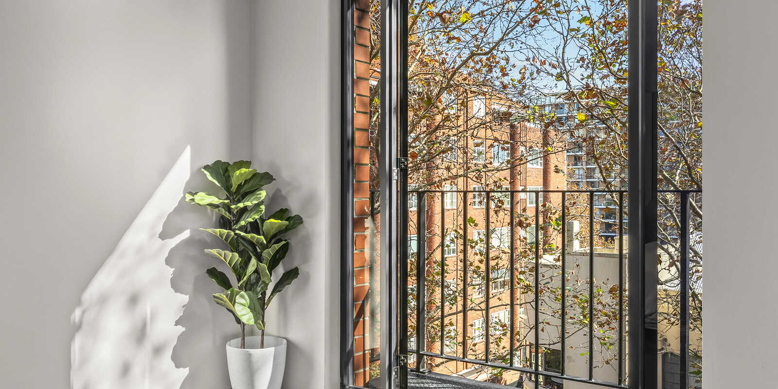 518/50 Macleay Street Elizabeth Bay