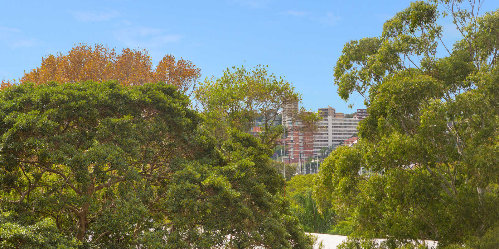 301/76 Roslyn Gardens Rushcutters Bay 301/76 Roslyn Gardens Rushcutters Bay