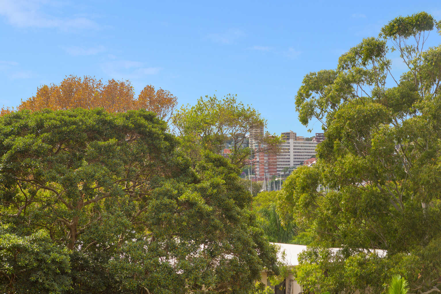 301/76 Roslyn Gardens Rushcutters Bay 301/76 Roslyn Gardens Rushcutters Bay
