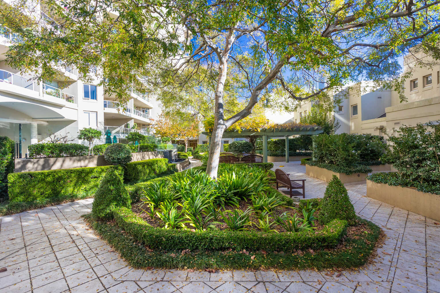 611/63 Crown Street Woolloomooloo 611/63 Crown Street Woolloomooloo
