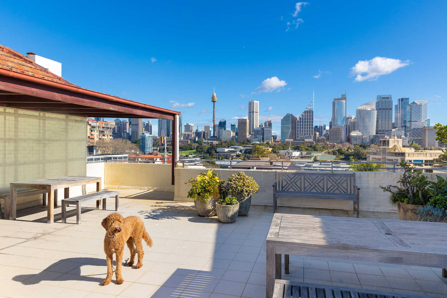 21/10a Challis Avenue Potts Point