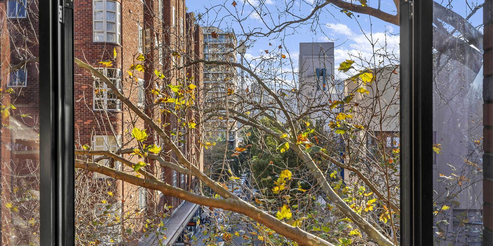 319/50 Macleay Street Potts Point 319/50 Macleay Street Potts Point