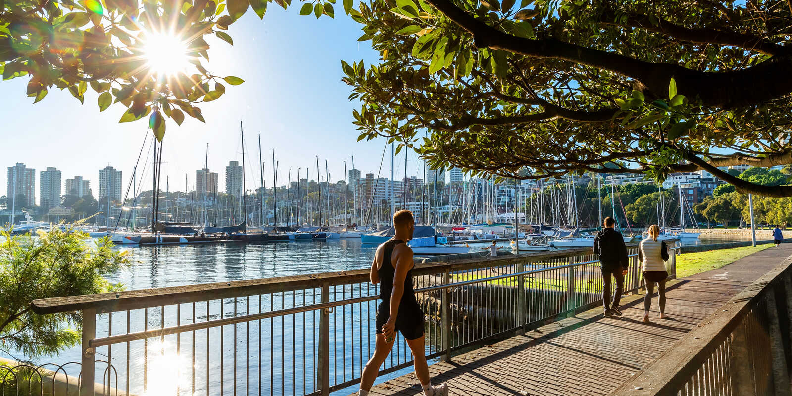 1/2 Holdsworth Avenue Elizabeth Bay