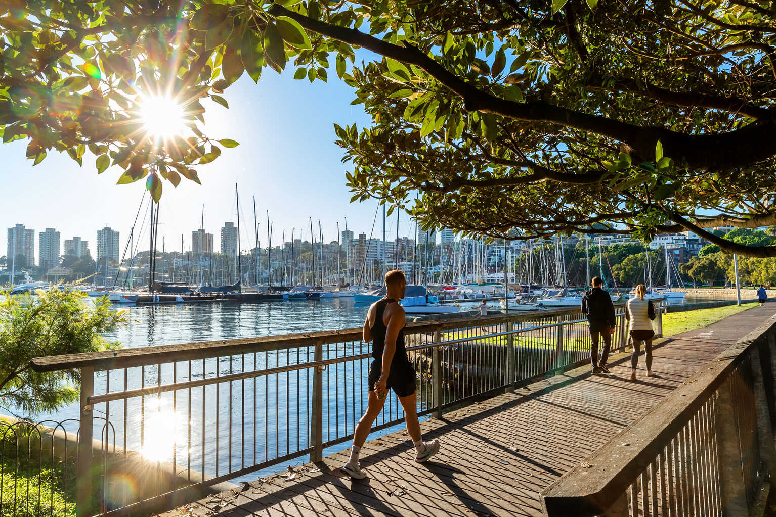 1/2 Holdsworth Avenue Elizabeth Bay