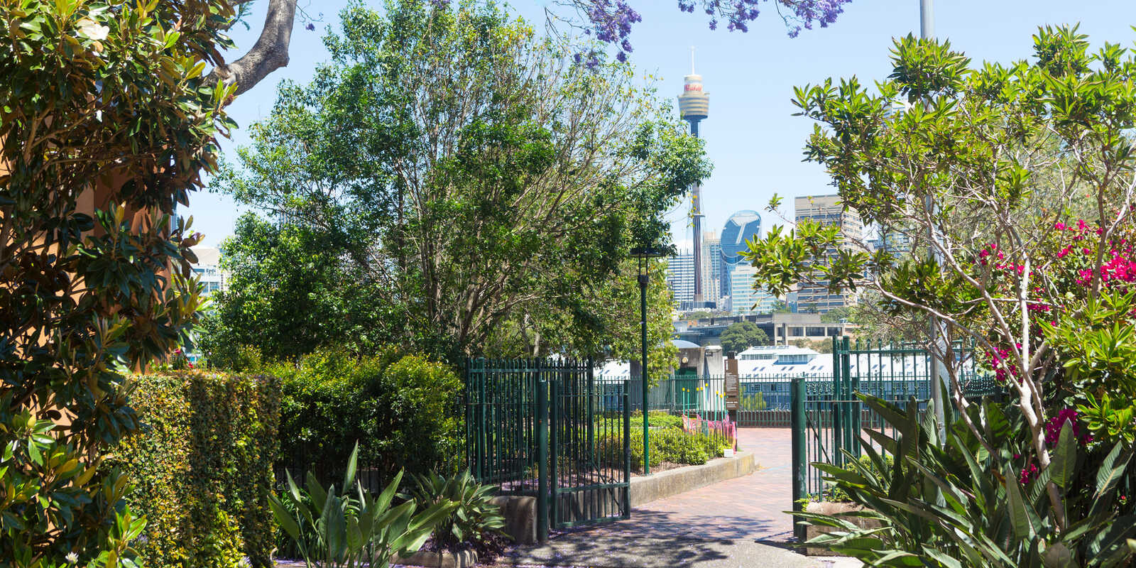 804/145 Victoria Street Potts Point