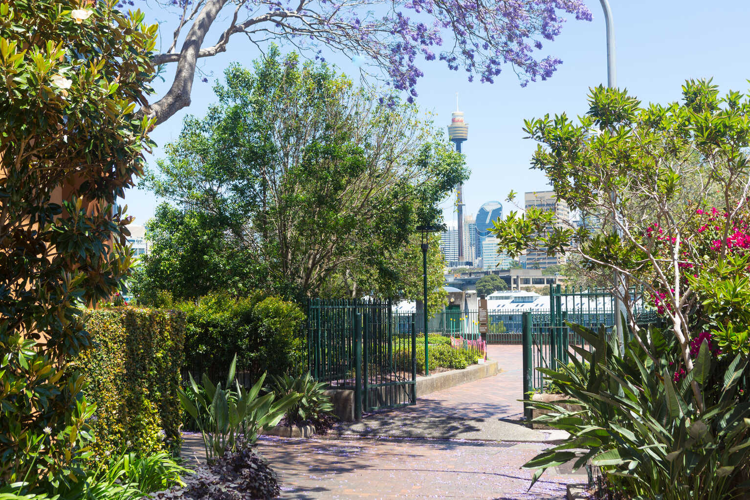804/145 Victoria Street Potts Point