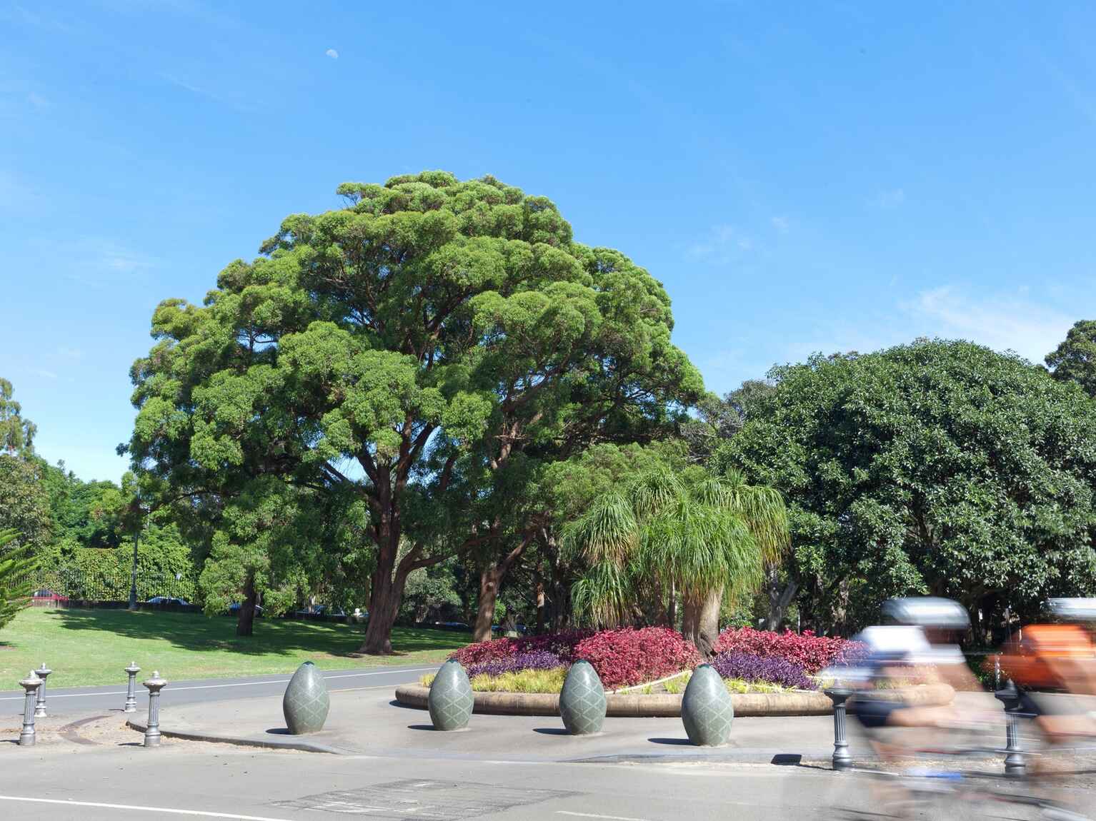 House For Sale 132 Eastern Avenue Kingsford