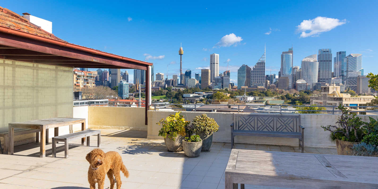17/10a Challis Avenue Potts Point 17/10a Challis Avenue Potts Point
