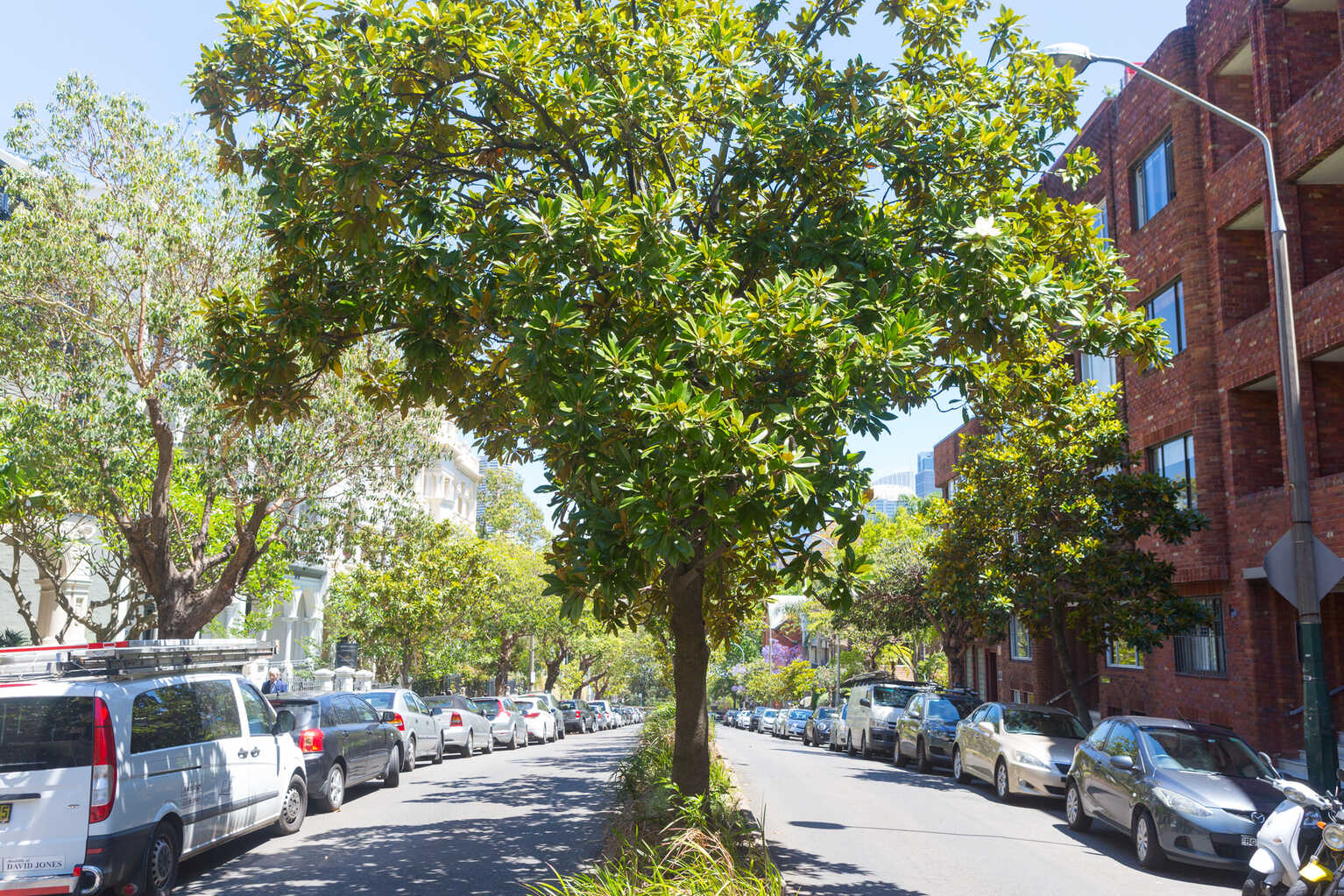 17/10a Challis Avenue Potts Point 17/10a Challis Avenue Potts Point