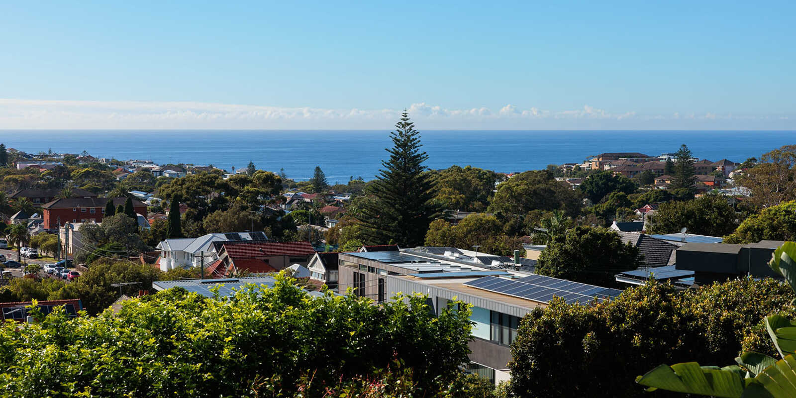 24 Douglas Street Clovelly 24 Douglas Street Clovelly