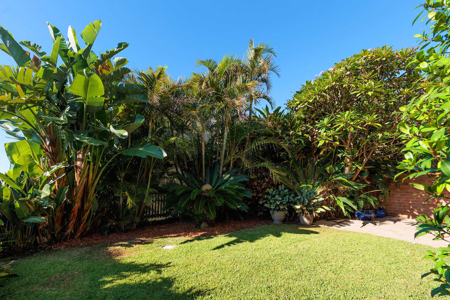 24 Douglas Street Clovelly 24 Douglas Street Clovelly