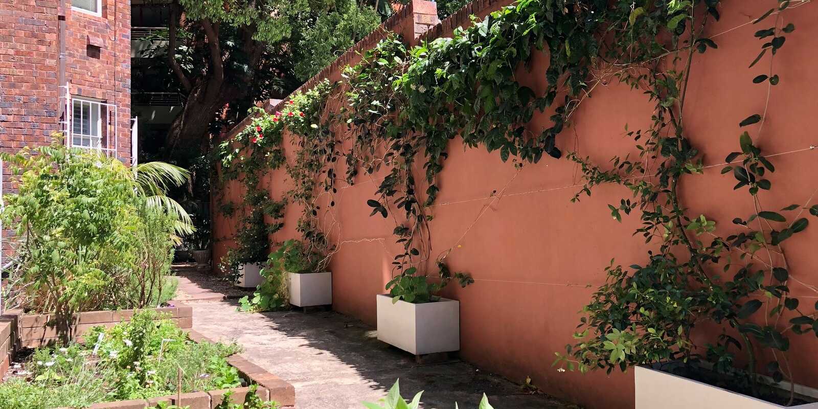 14/8 Birtley Place Elizabeth Bay