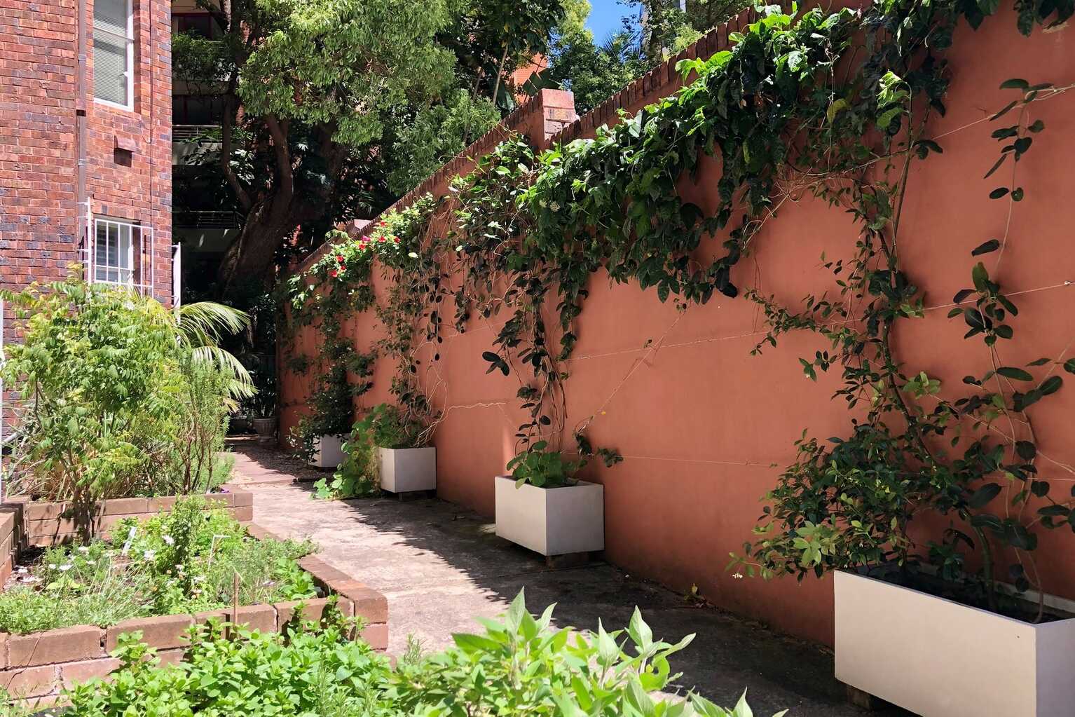 14/8 Birtley Place Elizabeth Bay