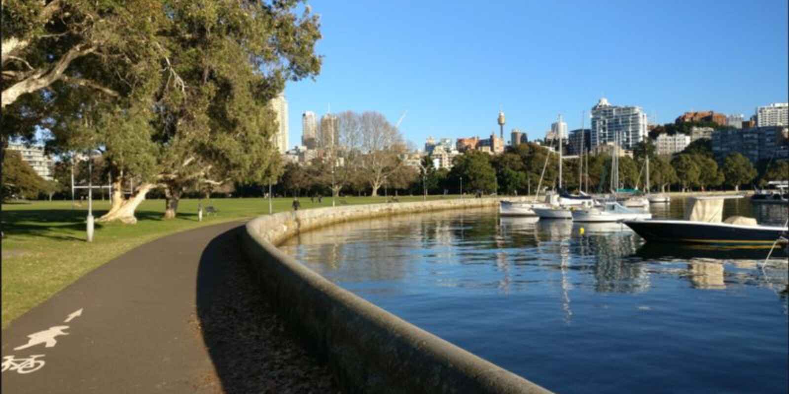 1/99 New South Head Road Edgecliff 1/99 New South Head Road Edgecliff