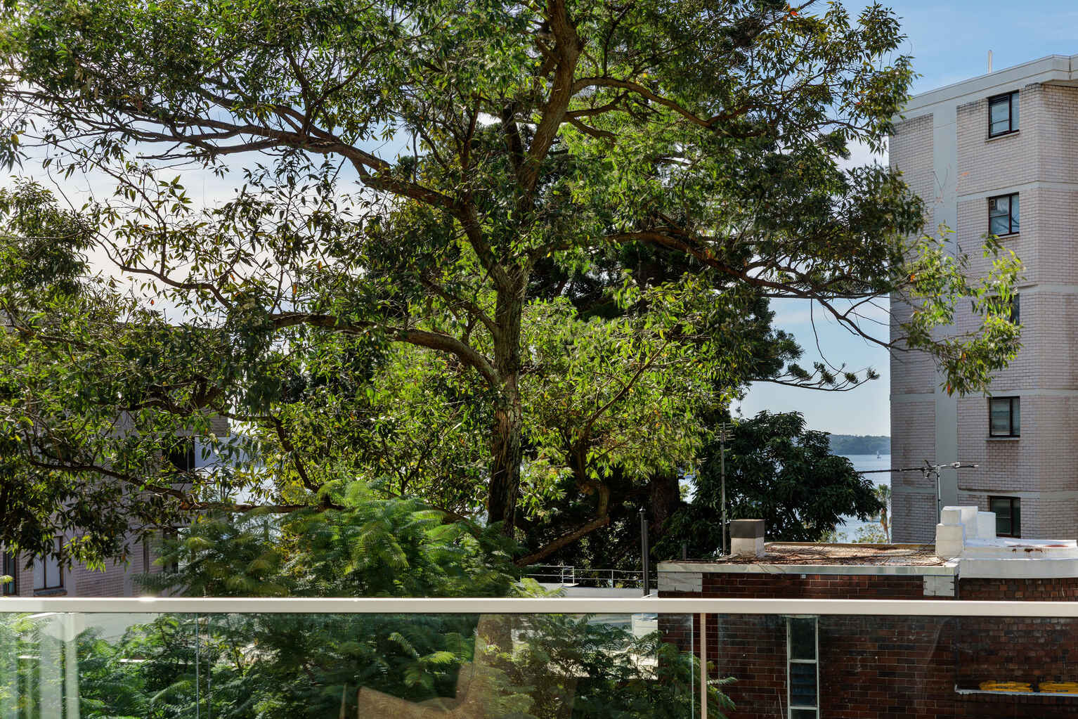 15/8 Greenknowe Avenue Elizabeth Bay 15/8 Greenknowe Avenue Elizabeth Bay