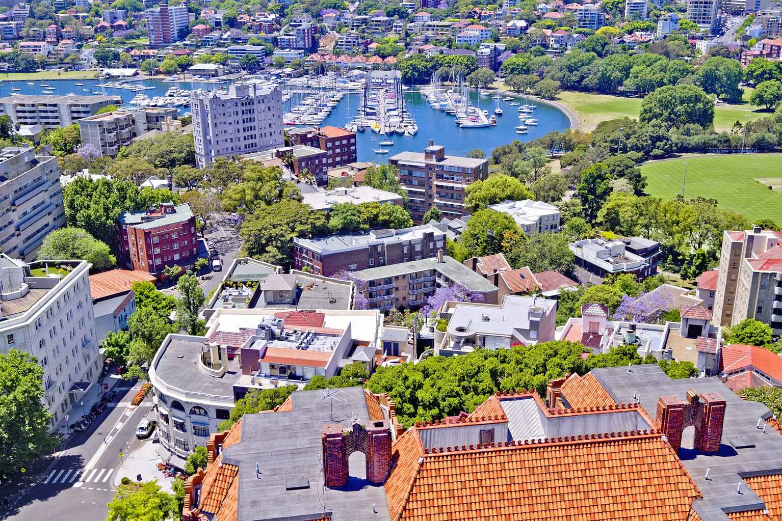 3/8 Birtley Place Elizabeth Bay