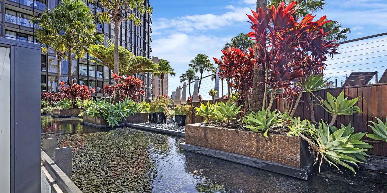 419/20 Pelican Street Surry Hills