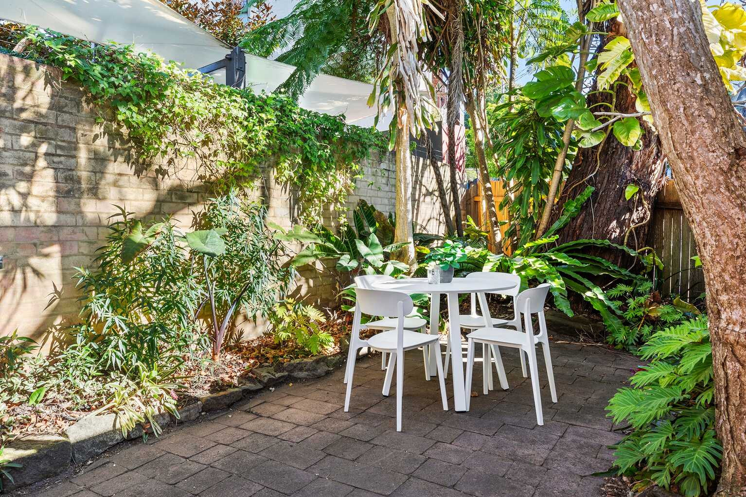 56 Comber Street Paddington