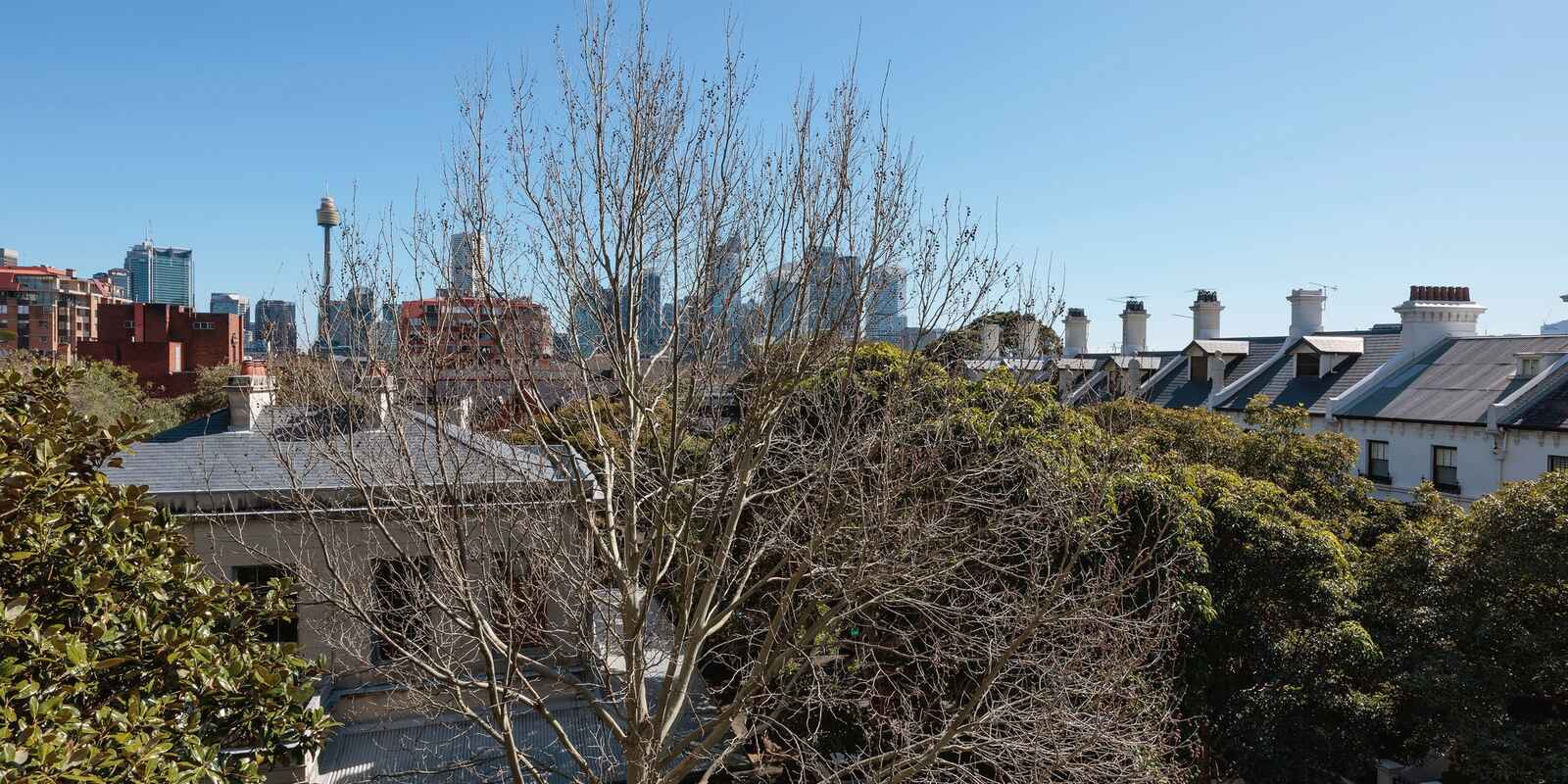 3a/77 Macleay Street Potts Point