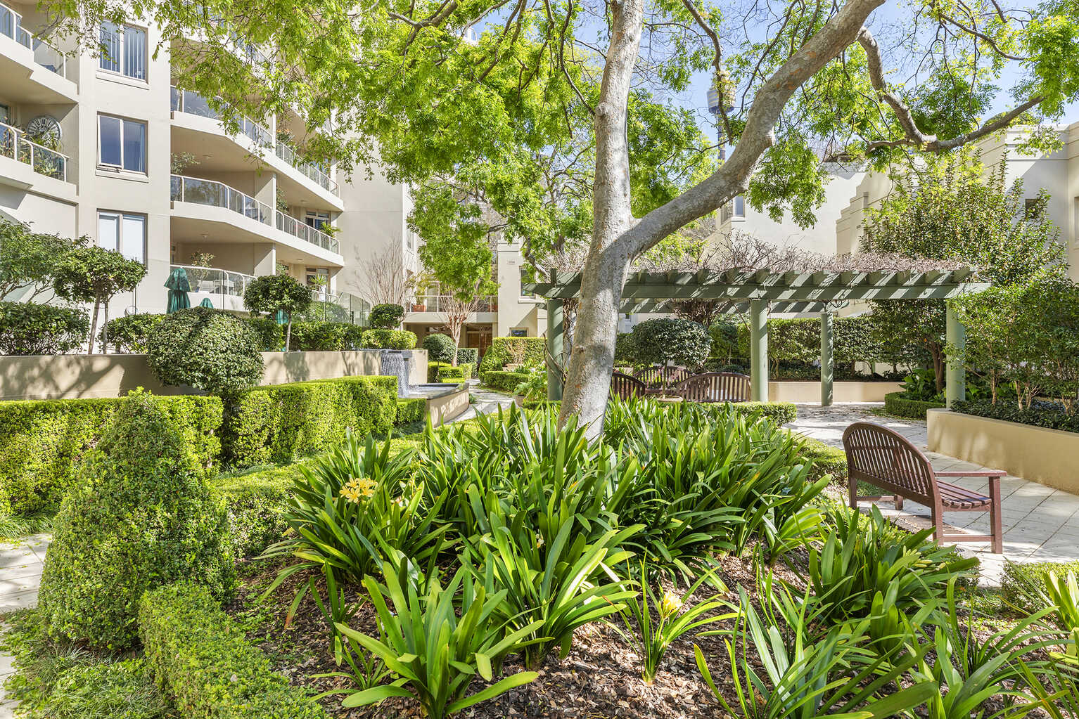1005/63 Crown Street Woolloomooloo 1005/63 Crown Street Woolloomooloo