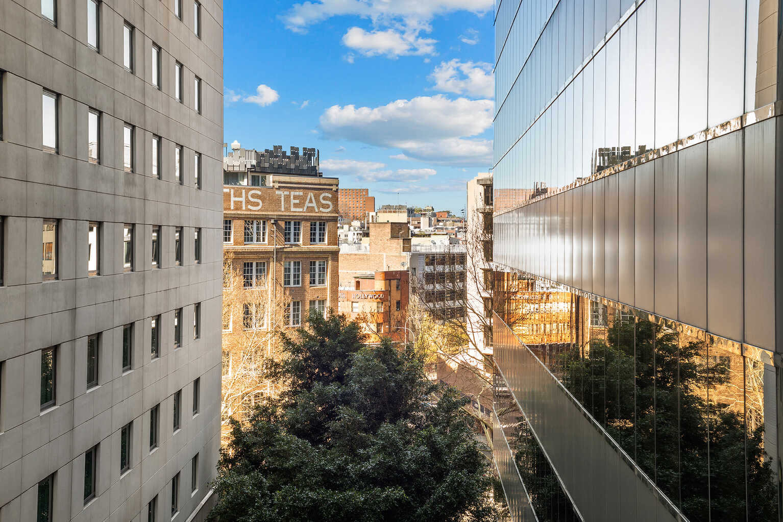 801/21 Alberta Street Sydney