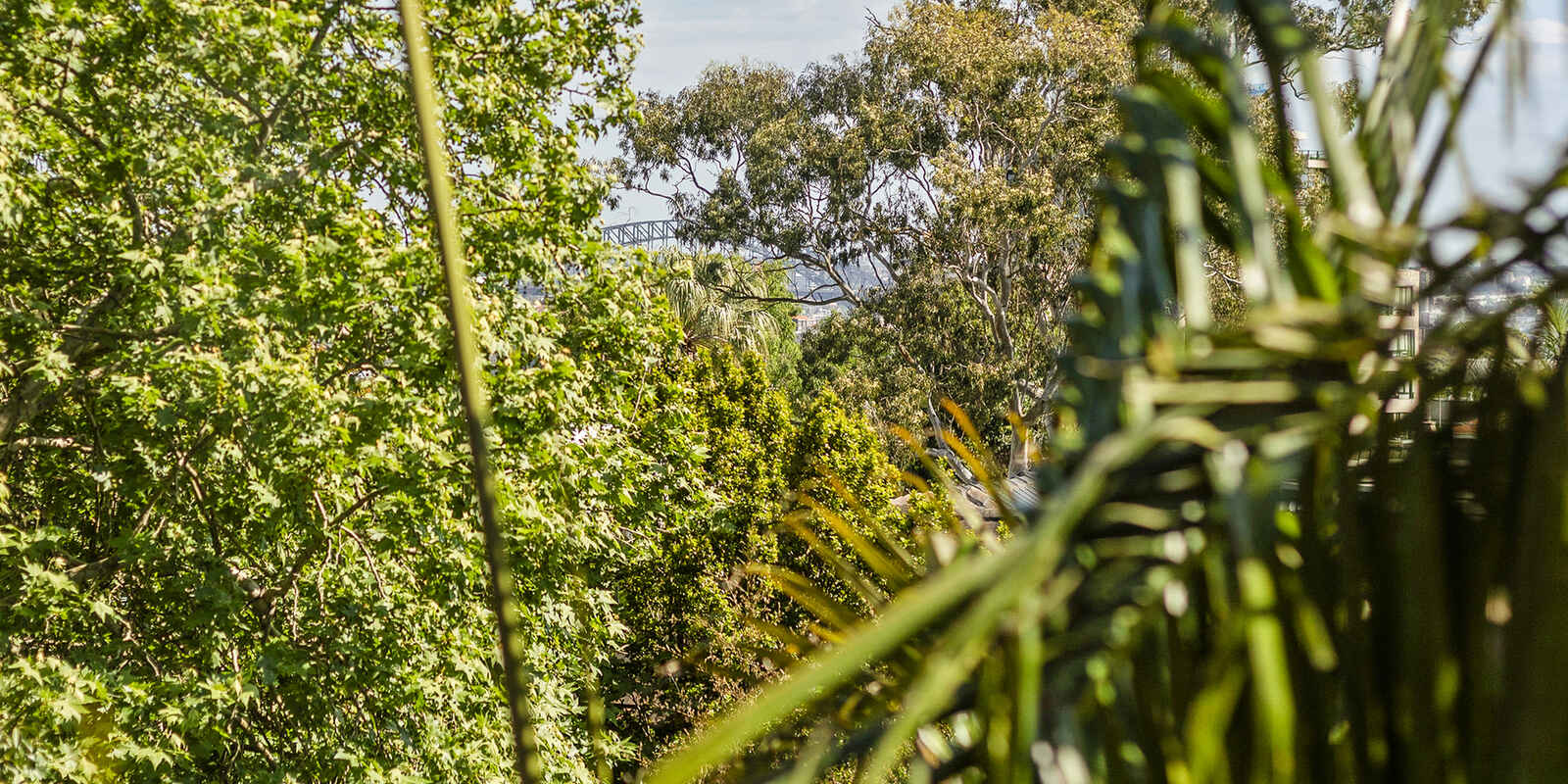 4a/91 Ocean Street Woollahra