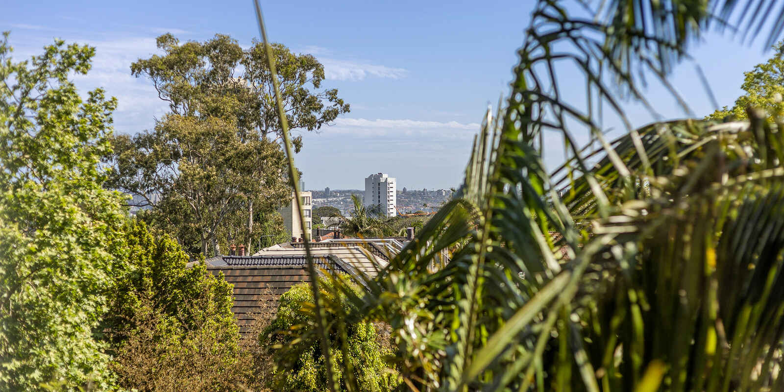 4a/91 Ocean Street Woollahra