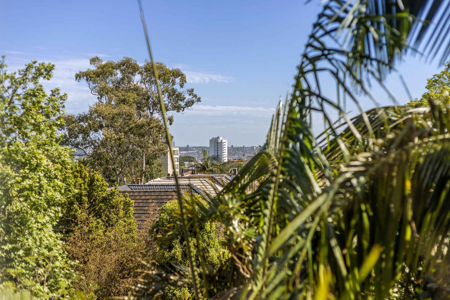 4a/91 Ocean Street Woollahra