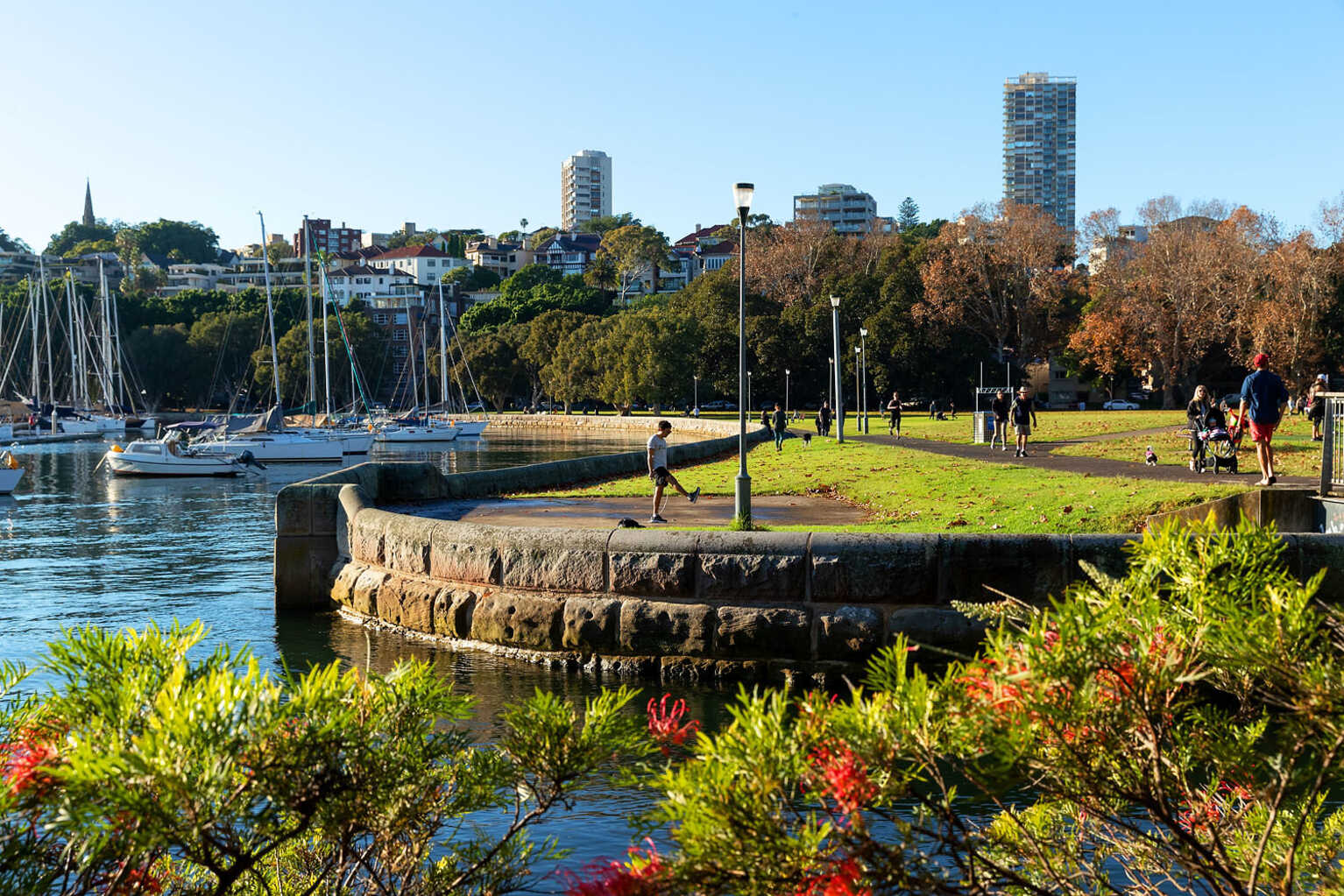 7/2 Waratah Street Rushcutters Bay 7/2 Waratah Street Rushcutters Bay