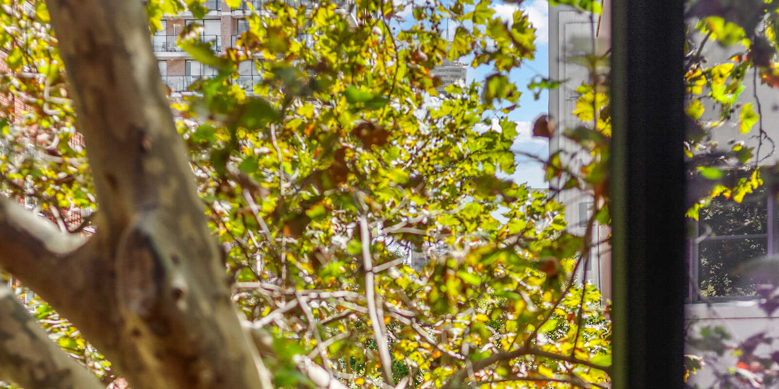 216/50 Macleay Street Potts Point 216/50 Macleay Street Potts Point