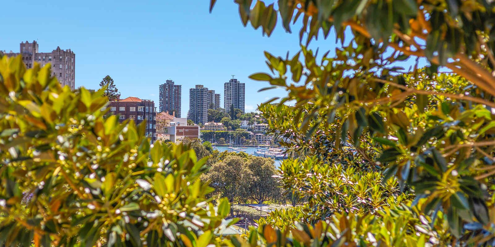 64/50 Roslyn Gardens Elizabeth Bay