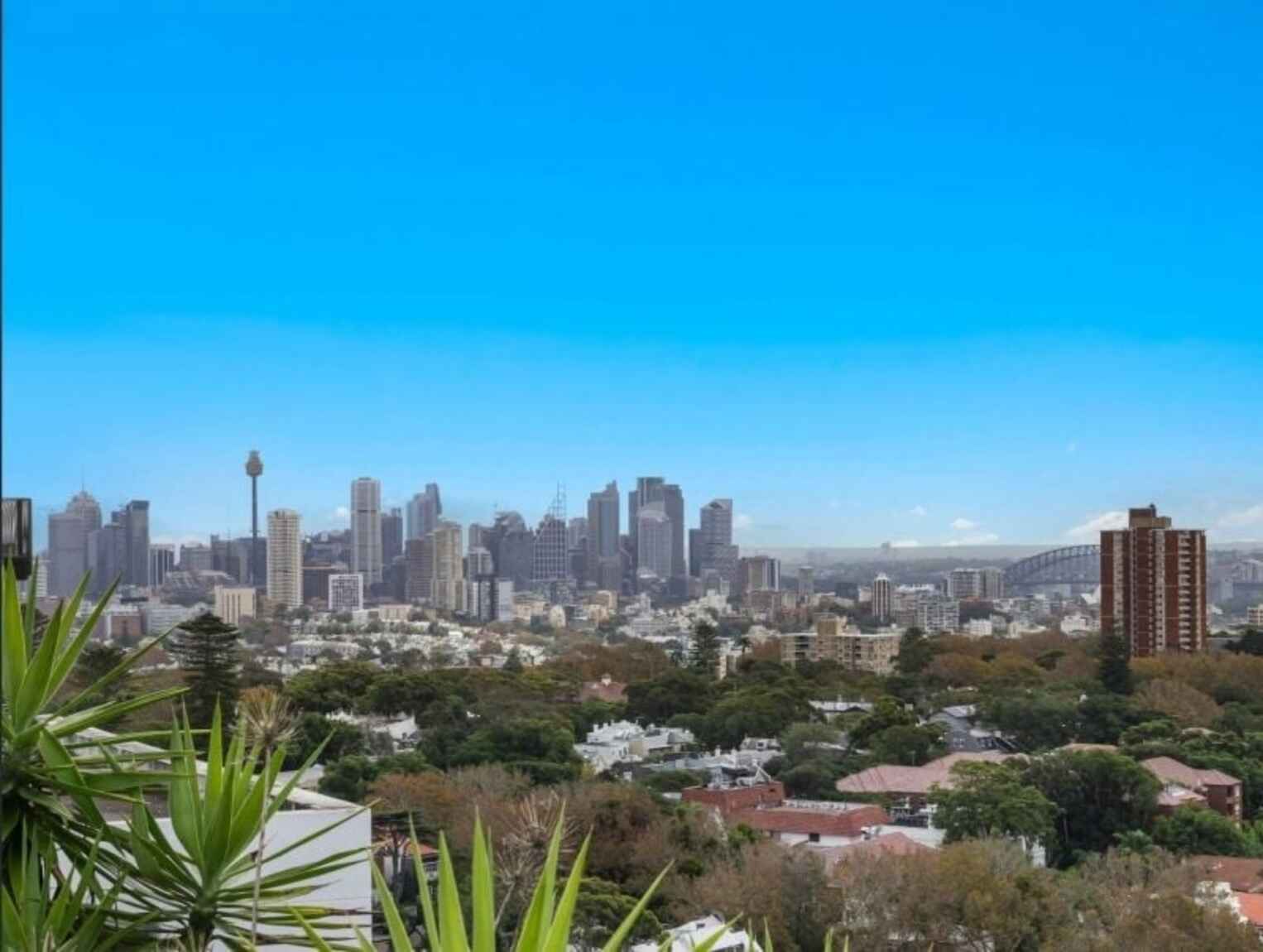 1005/310-330 Oxford Street Bondi Junction