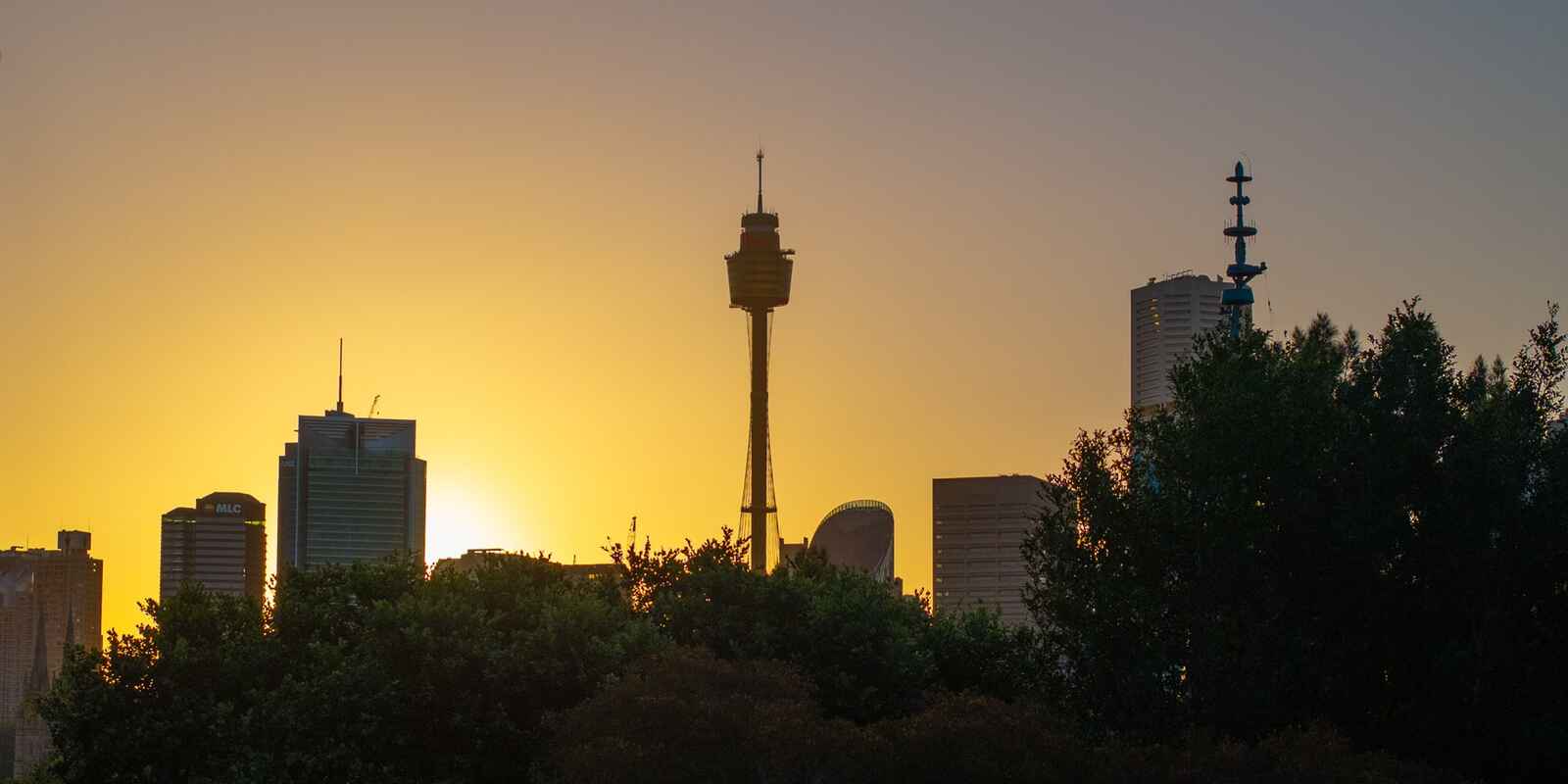 1/1 Grantham Street Potts Point 1/1 Grantham Street Potts Point