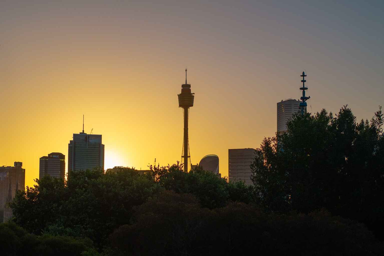 1/1 Grantham Street Potts Point 1/1 Grantham Street Potts Point