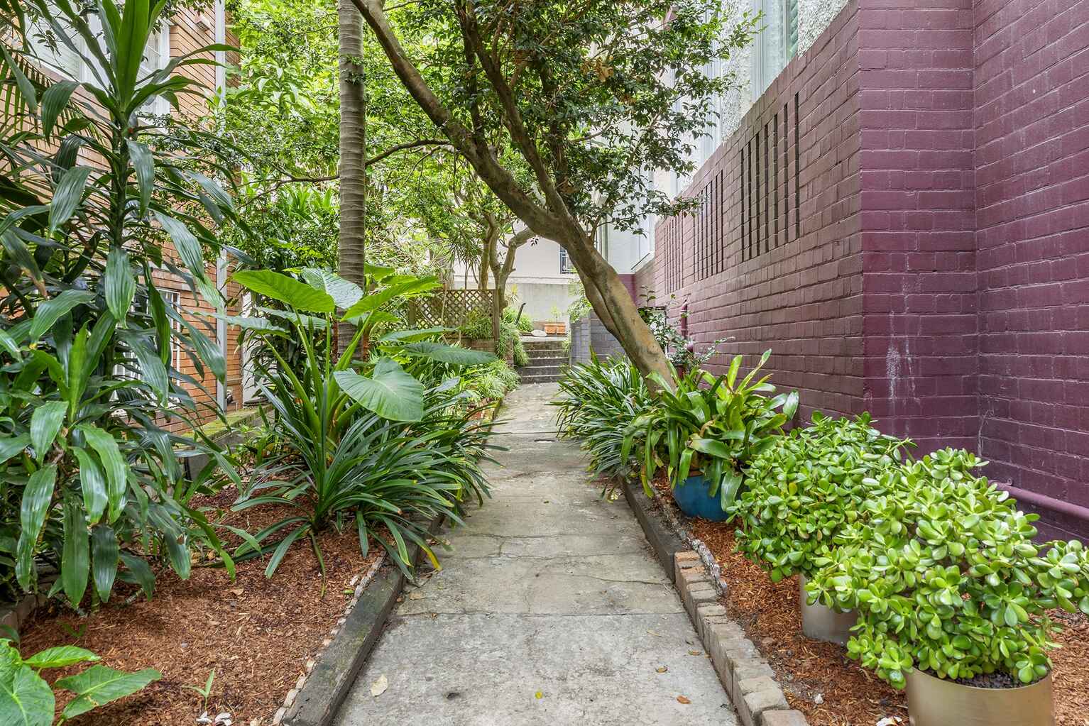 21/20 Waratah Street Rushcutters Bay