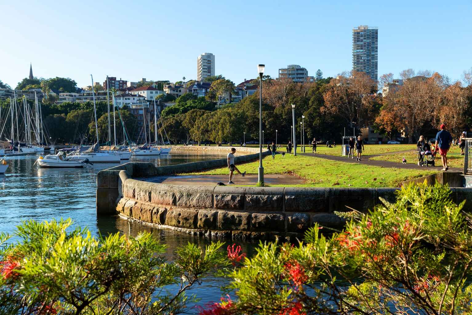 21/20 Waratah Street Rushcutters Bay