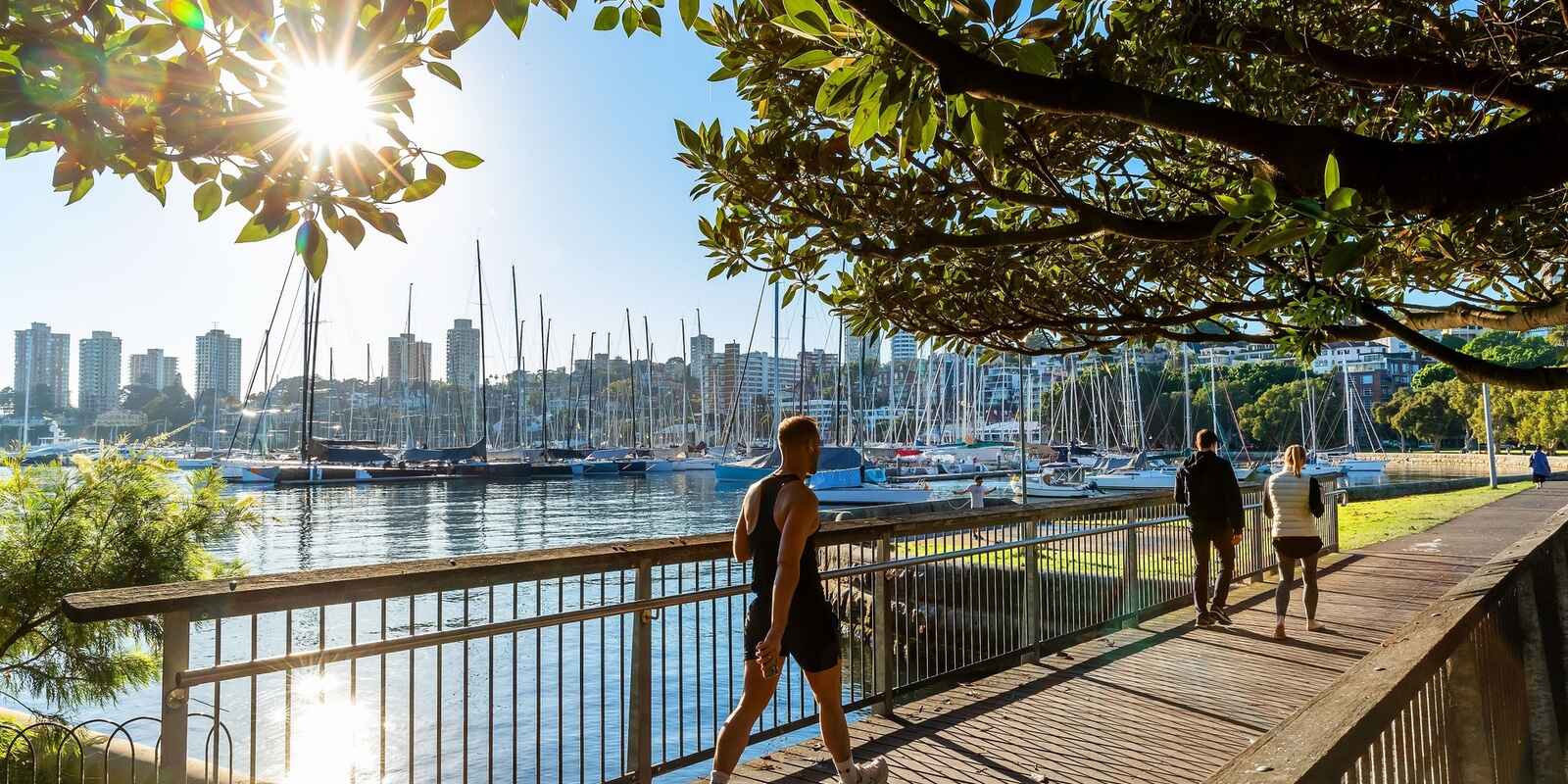 21/20 Waratah Street Rushcutters Bay