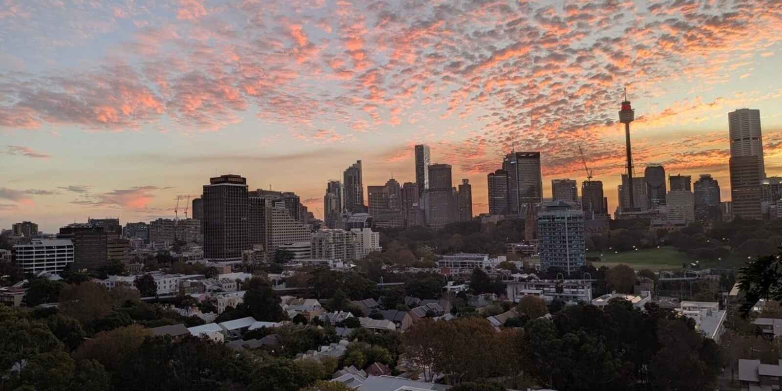 1904/73 Victoria Street Potts Point