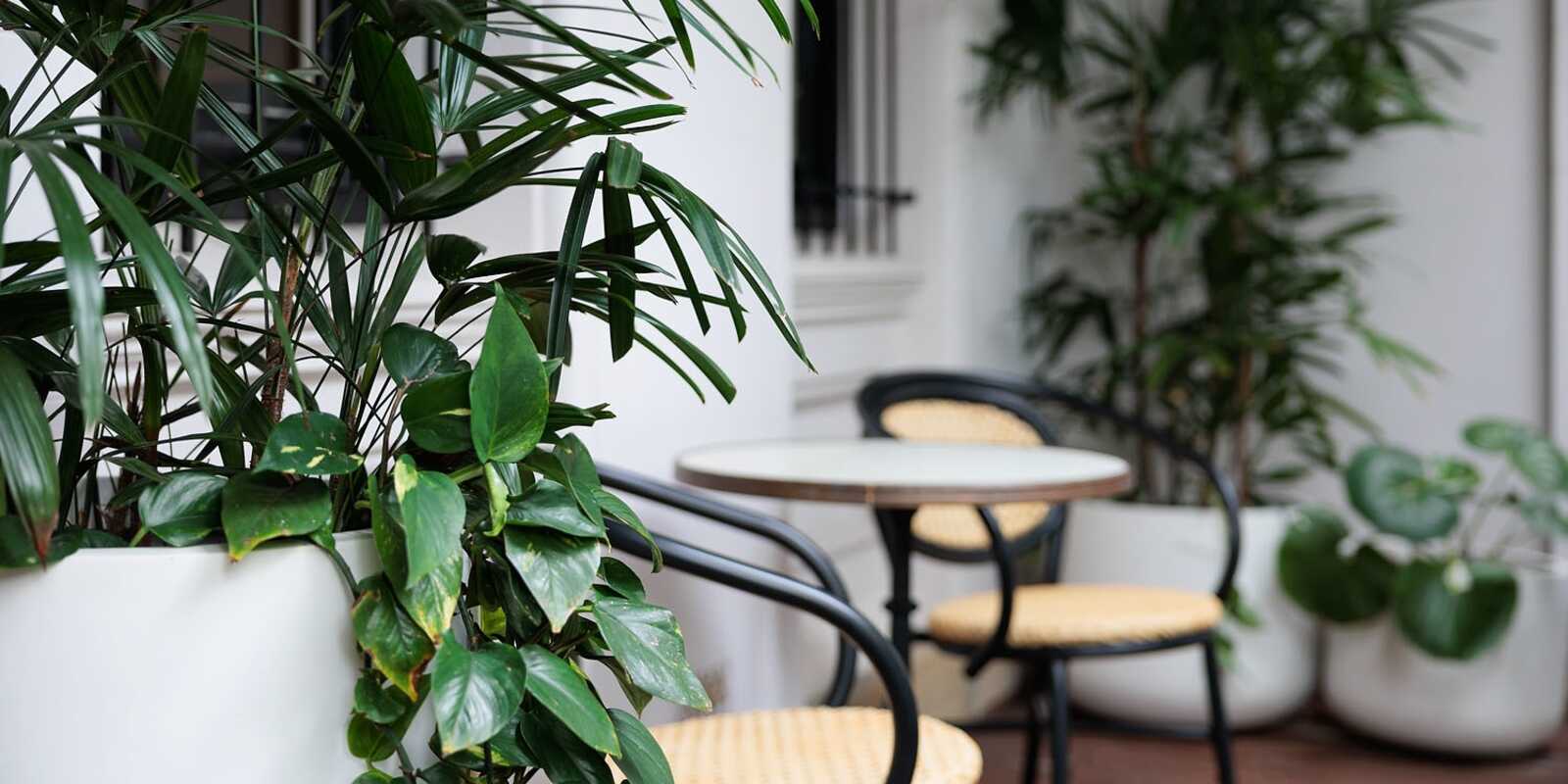 20 Rockwall Crescent Potts Point 20 Rockwall Crescent Potts Point