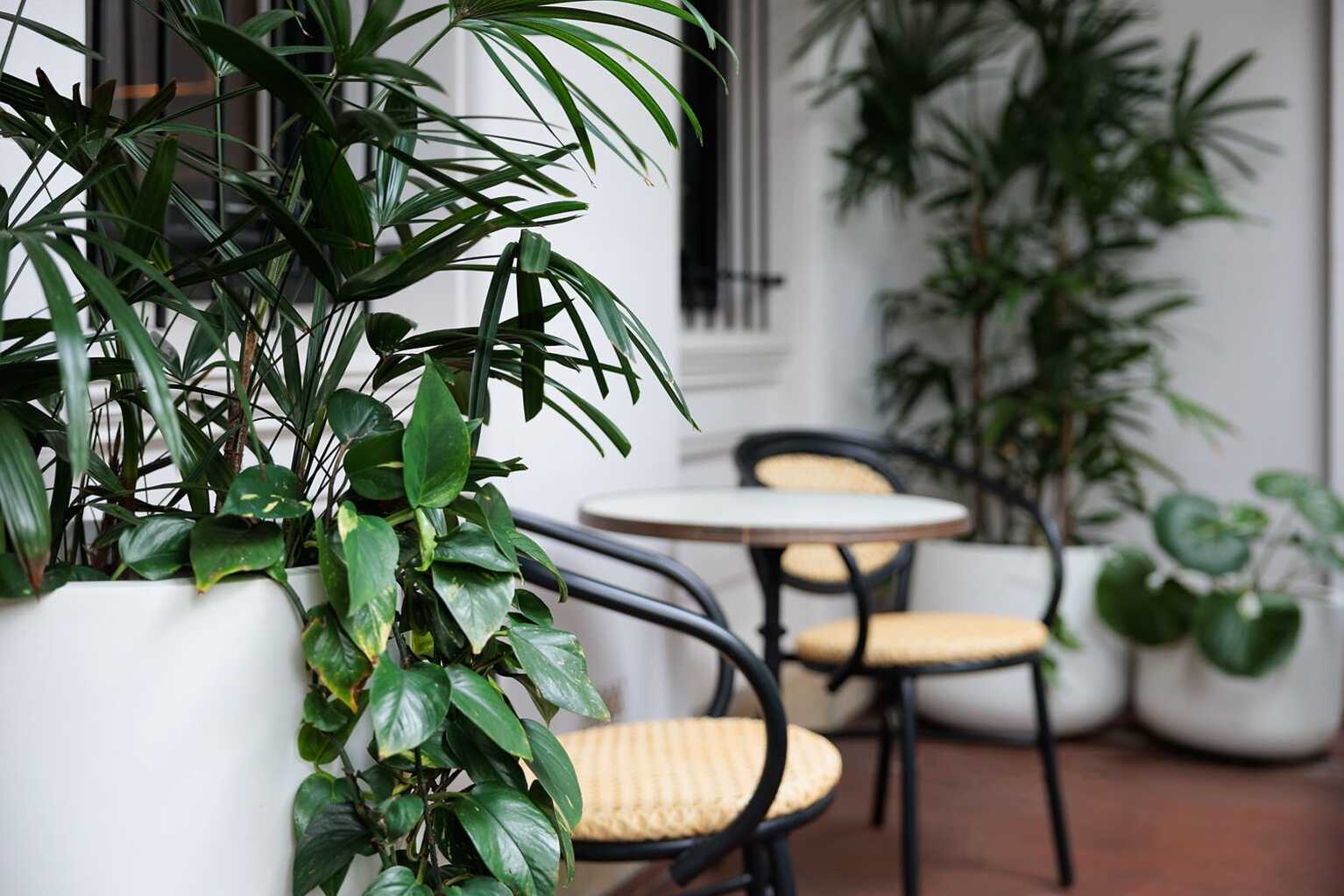 20 Rockwall Crescent Potts Point 20 Rockwall Crescent Potts Point