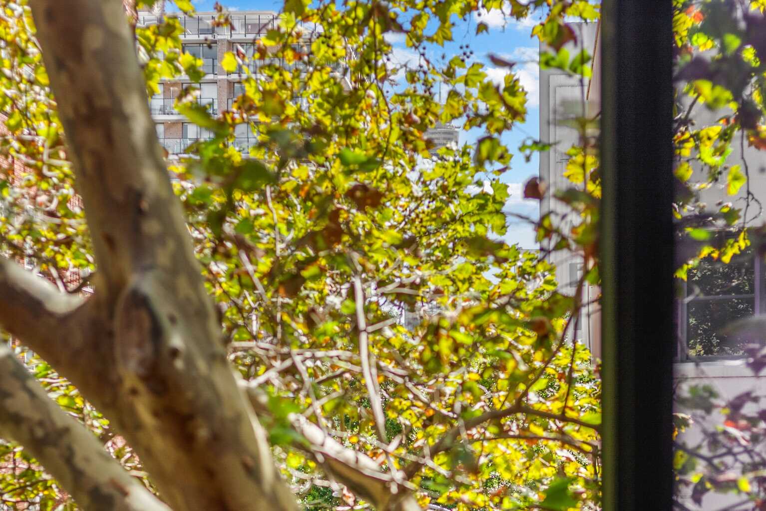 216/50 Macleay Street Potts Point