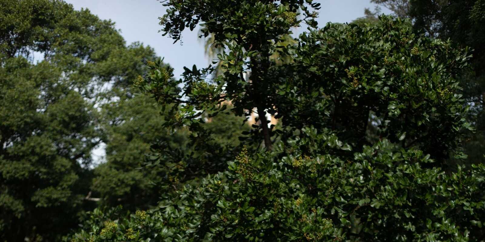 2/142-144 Francis Street Bondi Beach