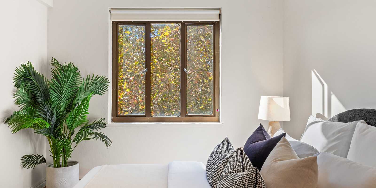 62/117 Macleay Street Potts Point