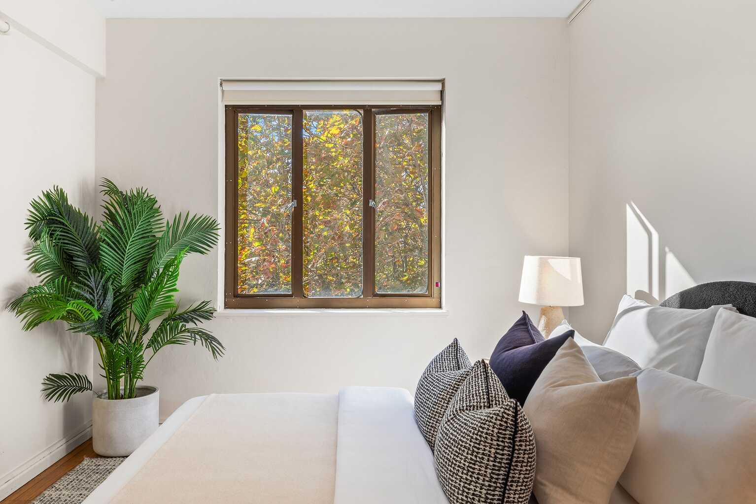 62/117 Macleay Street Potts Point